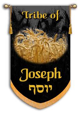 THE TESTAMENT OF&nbsp;JOSEPH