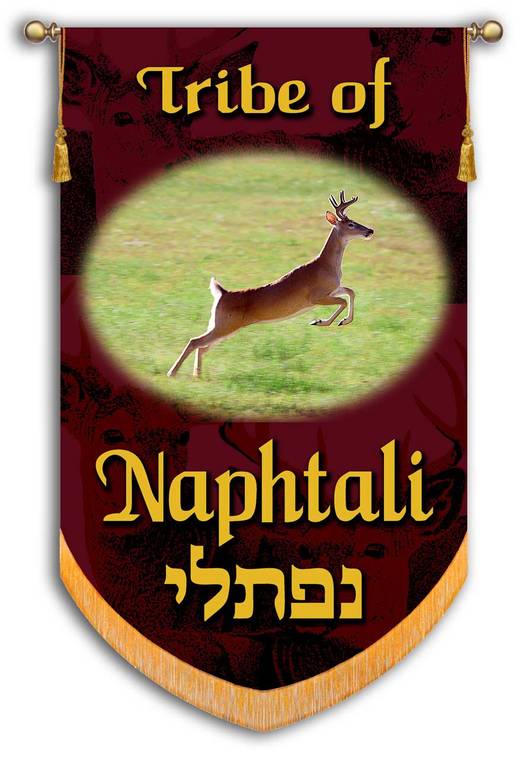 THE TESTAMENT OF&nbsp;NAPHTALI