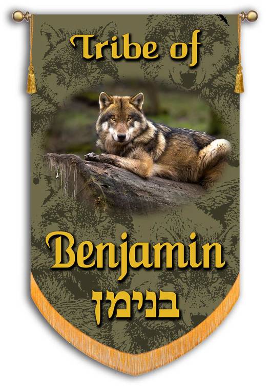 THE TESTAMENT OF&nbsp;BENJAMIN
