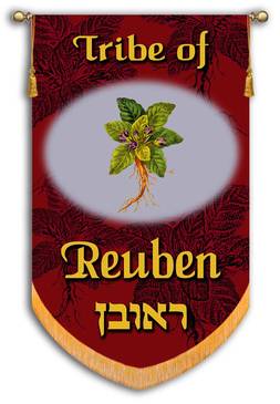 Testament Of Reuben