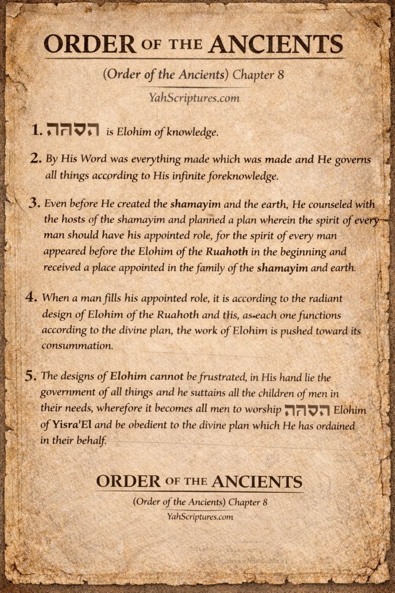 The Order Of The Ancients&nbsp;VIII