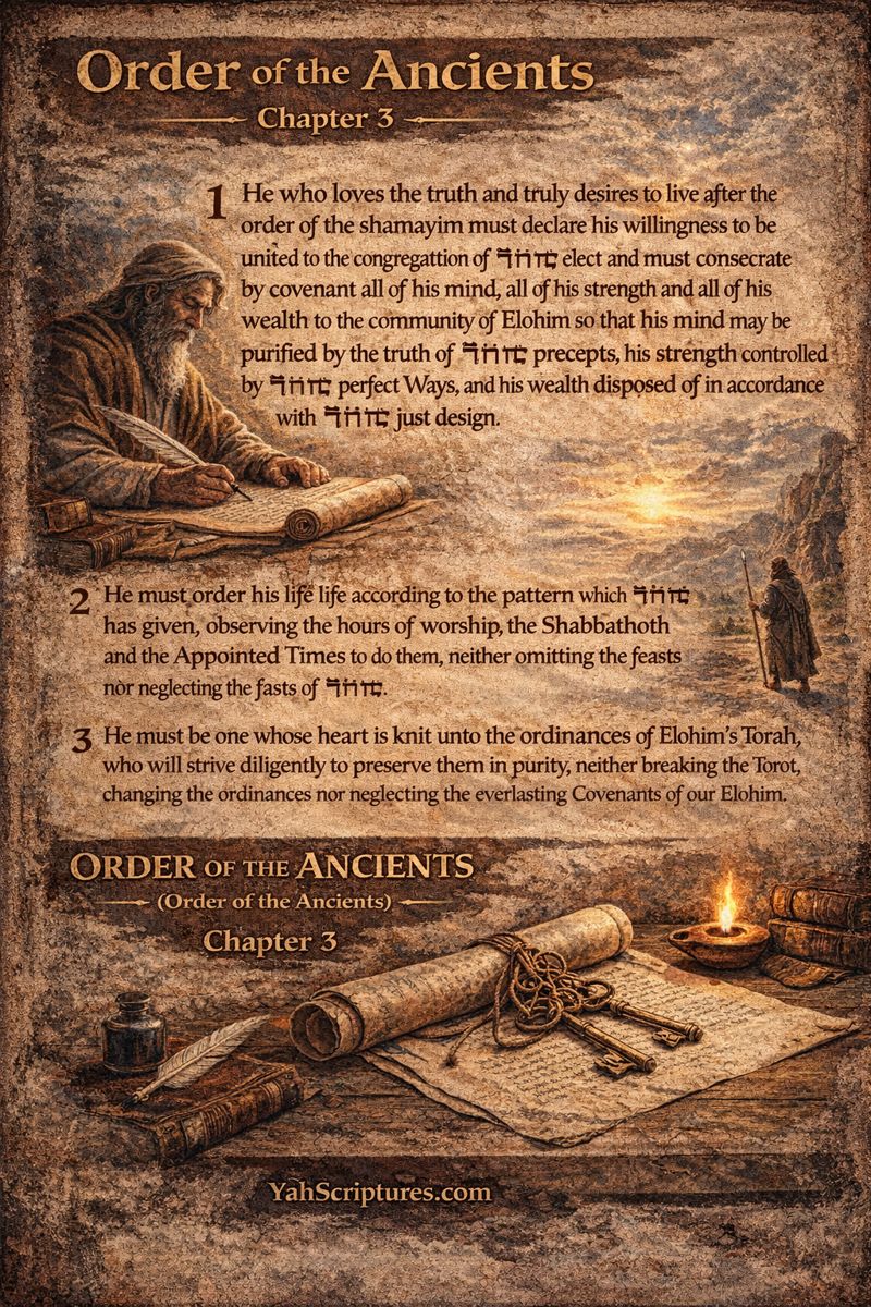 The Order Of The Ancients&nbsp;III